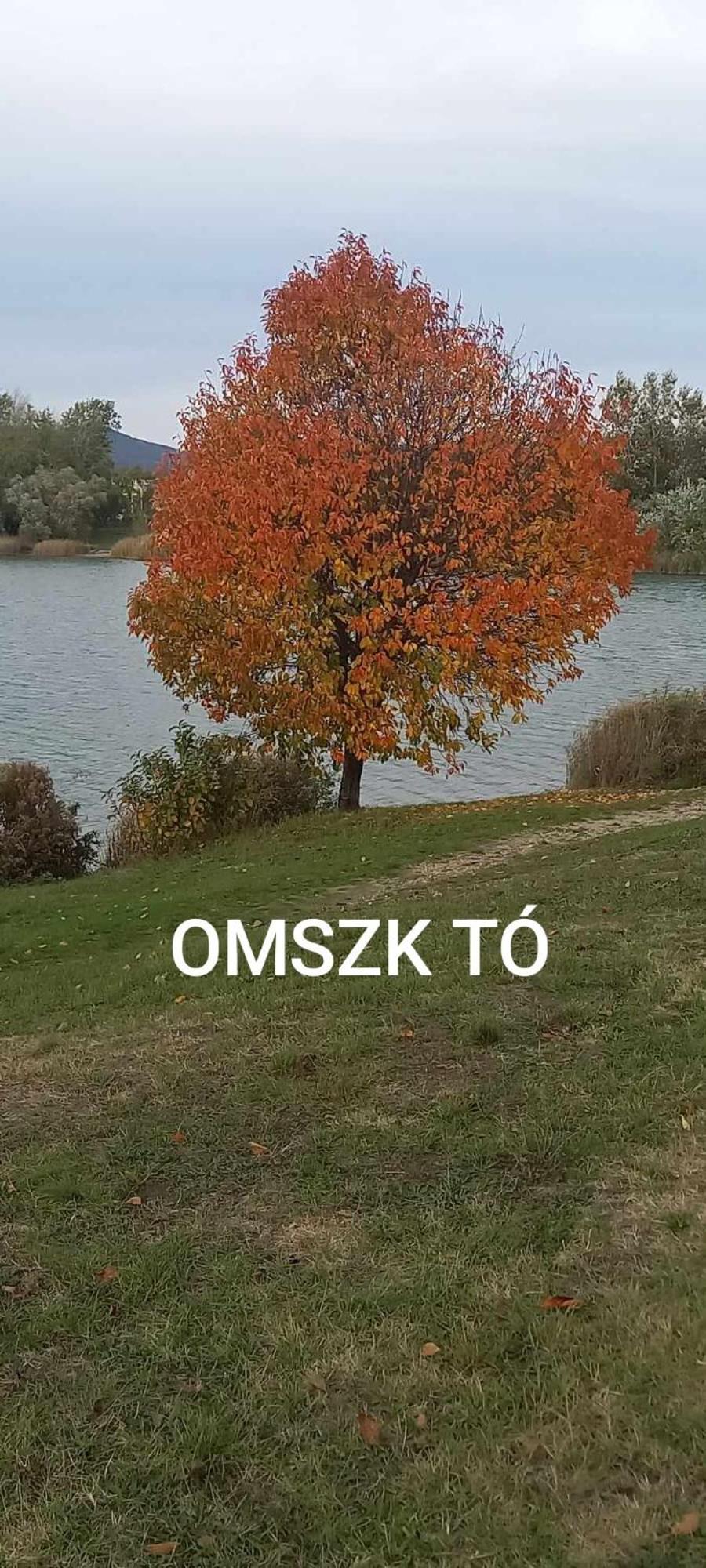 Zen Apartman Budakalász Exteriér fotografie